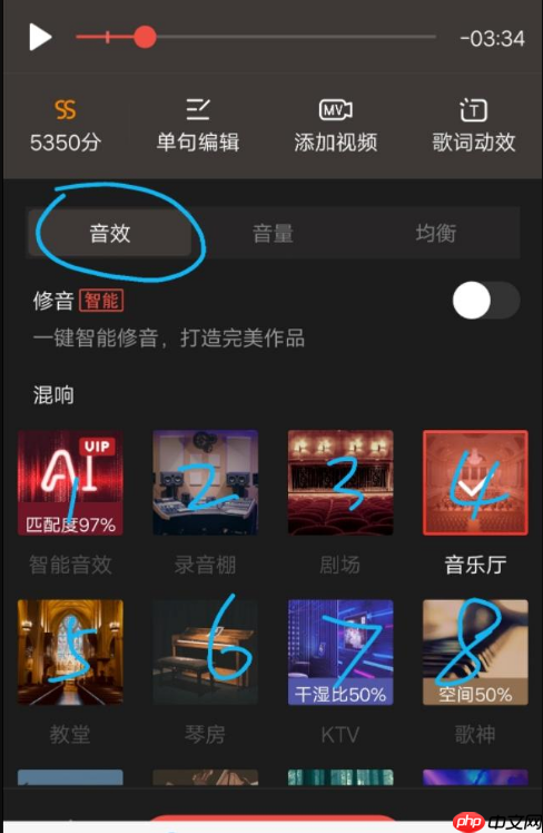 全民k歌唱歌怎么调音 具体操作方法介绍