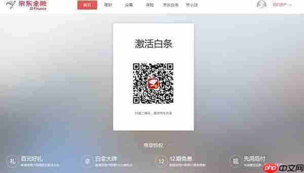 京东商城为什么一定要开通打白条