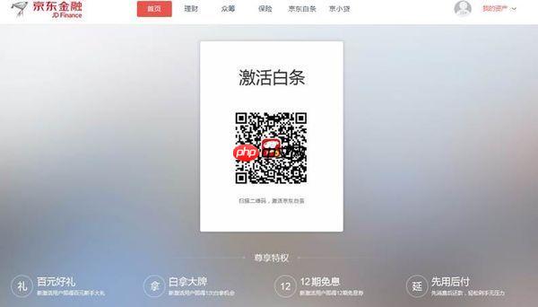 京东商城为什么一定要开通打白条
