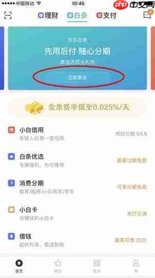 京东商城为什么一定要开通打白条