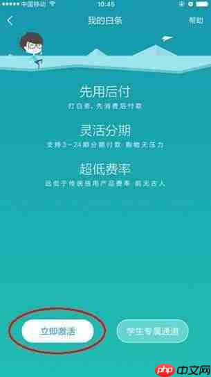 京东商城为什么一定要开通打白条
