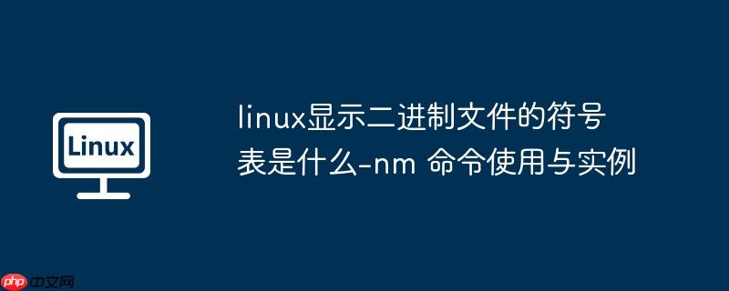 linux显示二进制文件的符号表是什么-nm 命令使用与实例-小浪学习网