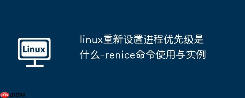 linux重新设置进程优先级是什么-renice命令使用与实例