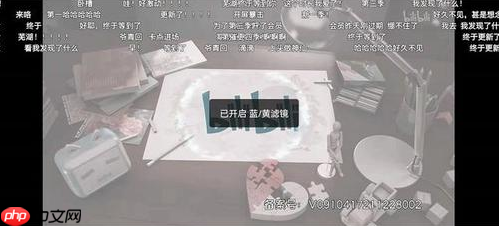 哔哩哔哩色盲模式怎么设置 哔哩哔哩开启色盲模式方法分享