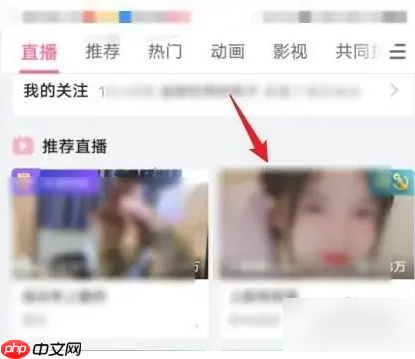 哔哩哔哩直播怎么把弹幕开在游戏里面  哔哩哔哩直播把弹幕开在游戏里面方法介绍