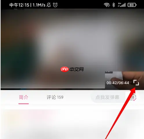 哔哩哔哩视频怎么镜面 哔哩哔哩开启镜像翻转教程