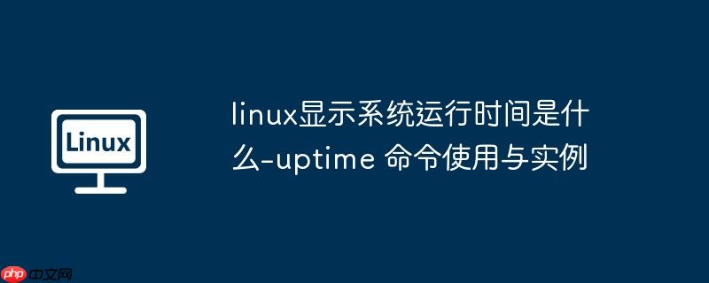 linux显示系统运行时间是什么-uptime 命令使用与实例