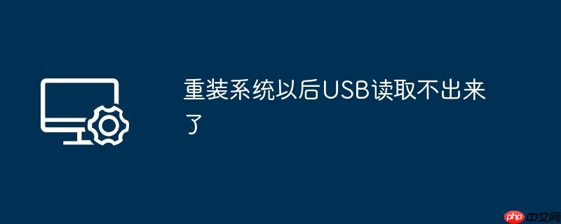 重装系统以后USB读取不出来了