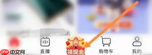 淘特app如何领100元 具体操作方法介绍