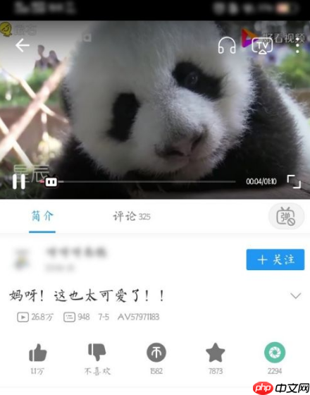 bilibili如何提升等级  bilibili提升等级方法介绍