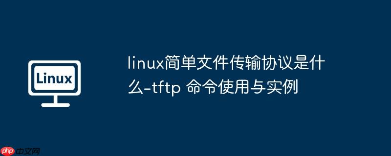 linux简单文件传输协议是什么-tftp 命令使用与实例