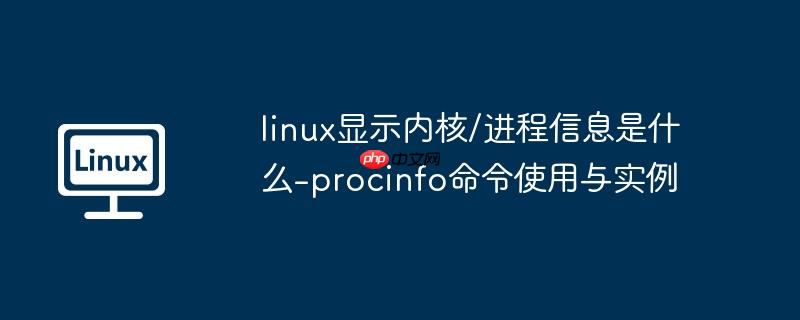 linux显示内核/进程信息是什么-procinfo命令使用与实例-小浪学习网