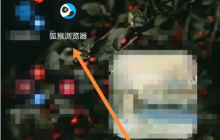 狐猴瀏覽器怎么全屏 狐猴瀏覽器開啟桌面模式方法