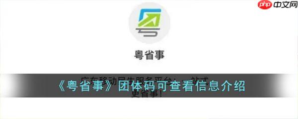 粤省事团体码可以看到什么 粤省事团体码可查看信息介绍