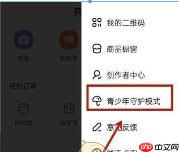 点淘app青少年模式怎么设置 青少年模式设置方法