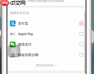 大麦网app怎么付款 大麦app如何付款