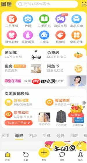 闲鱼租房如何私聊别人  闲鱼租房怎样私聊别人