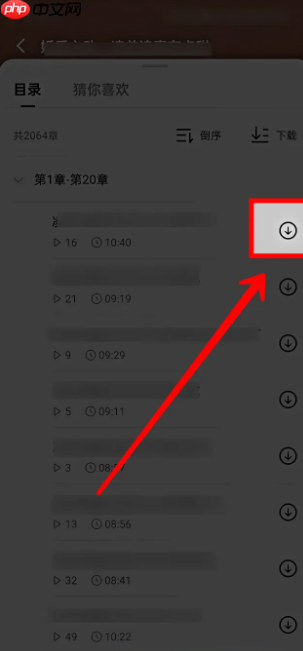 红果短剧如何下载短剧 红果短剧怎样下载观看