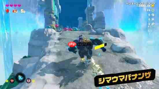 《咚奇刚：蕉力全开》全新预告！奥德赛团队最新作！