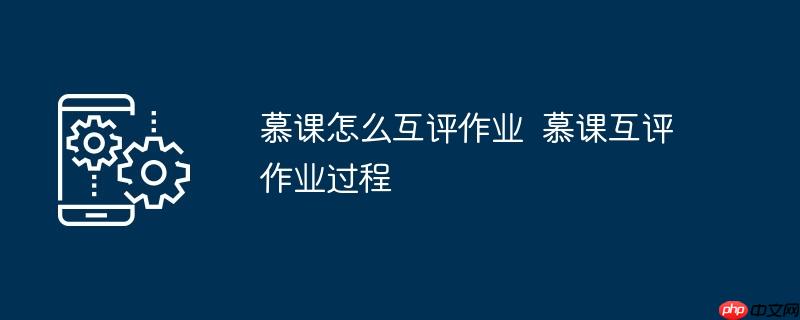 慕课怎么互评作业  慕课互评作业过程