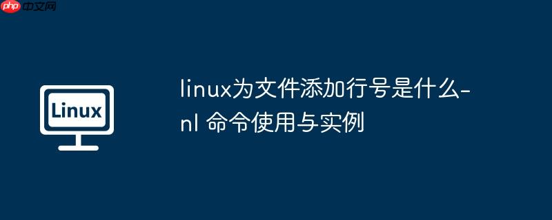 linux为文件添加行号是什么-nl 命令使用与实例-小浪学习网