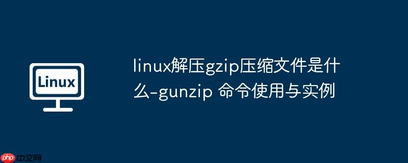 linux解压gzip压缩文件是什么-gunzip 命令使用与实例