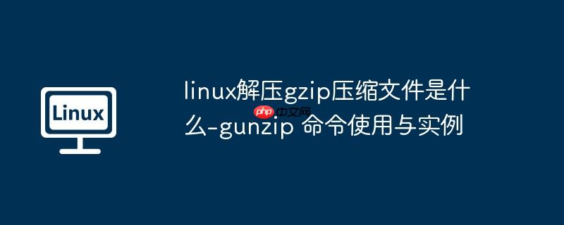 linux解压gzip压缩文件是什么-gunzip 命令使用与实例