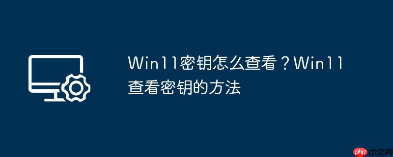 Win11密钥怎么查看？Win11查看密钥的方法