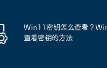 Win11密钥怎么查看?Win11查看密钥的方法