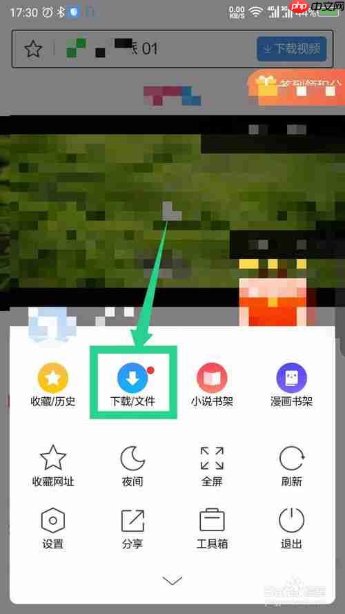 360手机浏览器为什么下载不了视频 缓存的视频位置