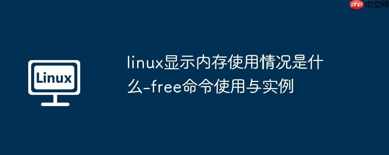 linux显示内存使用情况是什么-free命令使用与实例