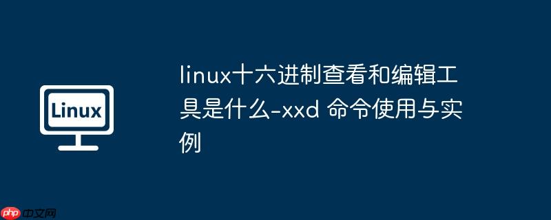 linux十六进制查看和编辑工具是什么-xxd 命令使用与实例