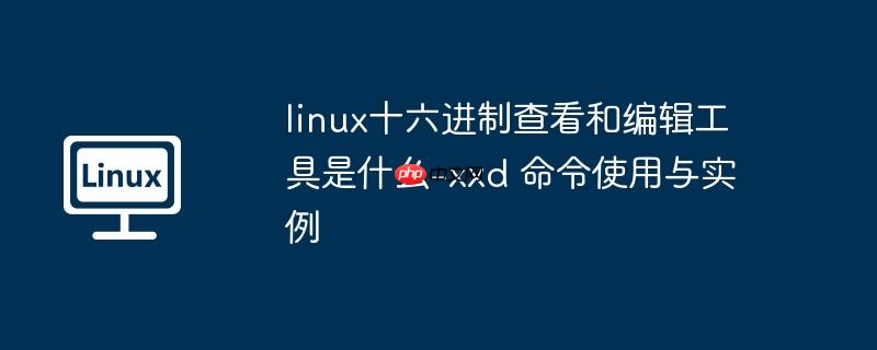linux十六进制查看和编辑工具是什么-xxd 命令使用与实例