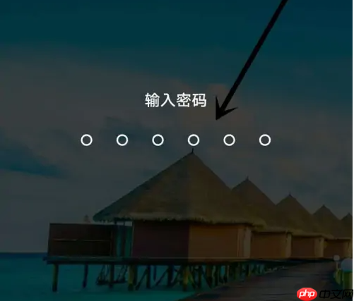 随手记隐藏的账户怎么显示出来 随手记打开隐私设置界面方法