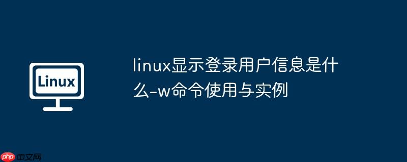 linux显示登录用户信息是什么-w命令使用与实例