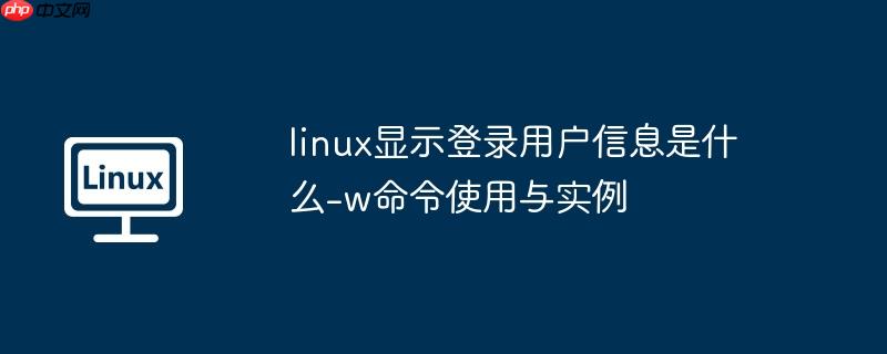 linux显示登录用户信息是什么-w命令使用与实例