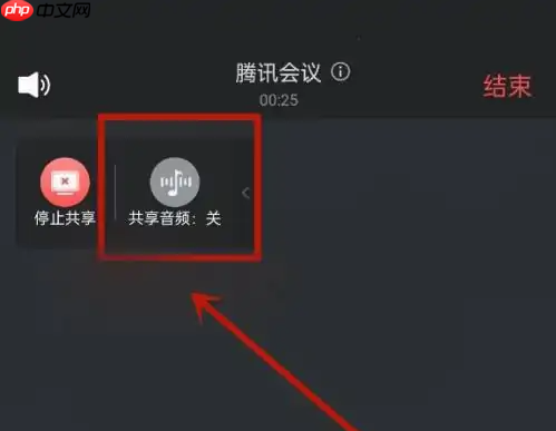 腾讯会议手机版怎么共享屏幕声音 腾讯会议共享视频声音教程
