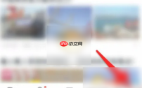 vivo浏览器怎么关闭广告拦截 vivo浏览器关闭广告拦截方法