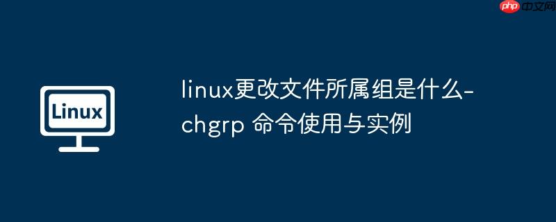 linux更改文件所属组是什么-chgrp 命令使用与实例