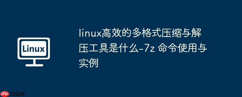 linux高效的多格式压缩与解压工具是什么-7z 命令使用与实例