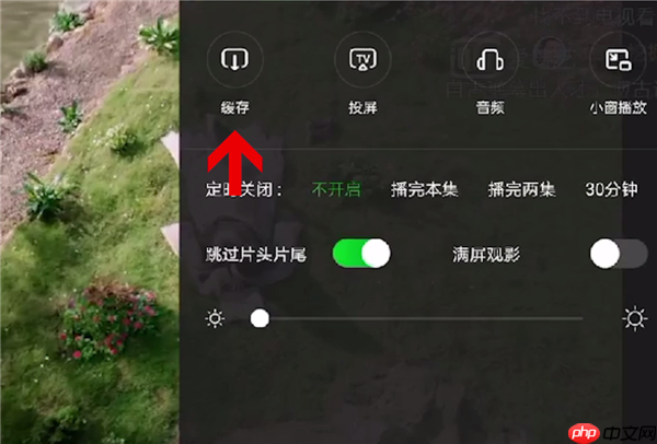 爱奇艺极速版怎么下载视频 下载视频方法