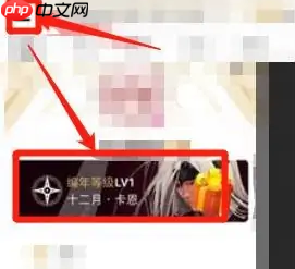 dnf助手怎么拉人进队伍 dnf助手邀请搭档步骤一览