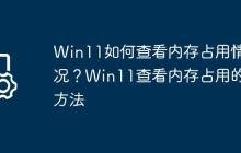 Win11如何查看内存占用情况?Win11查看内存占用的方法