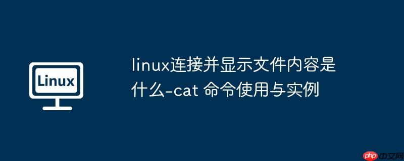 linux连接并显示文件内容是什么-cat 命令使用与实例