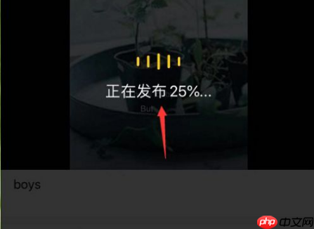 酷我音乐怎么截取音乐片段 酷我音乐截取音乐片段方法介绍