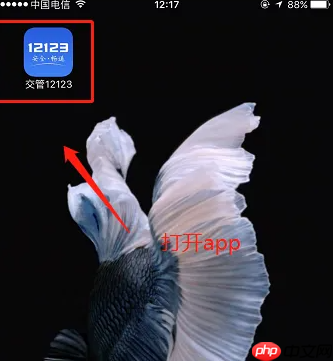 交管12123怎么办理恢复驾驶资格业务 交管12123驾驶证停止使用恢复方法