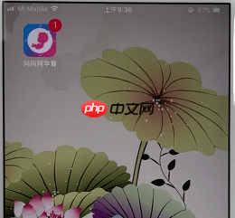 孕育管家怎么看预产期 详细教程