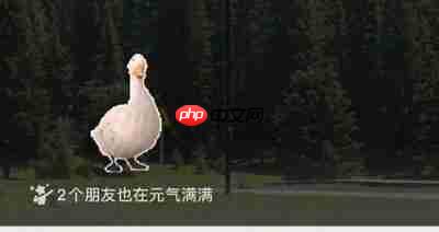 微信农场背景图怎么设置 微信农场背景图设置教程