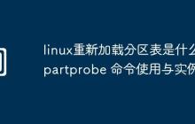 linux重新加载分区表是什么-partprobe 命令使用与实例