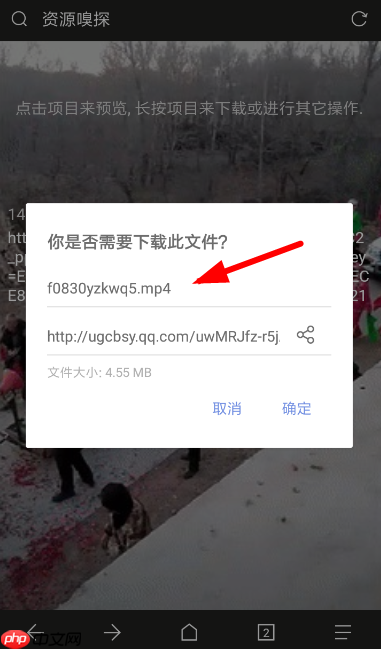 Via浏览器怎么修改下载后缀 Via浏览器下载后缀名修改教程